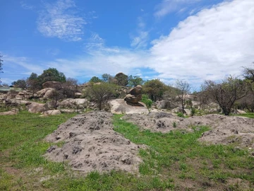 Farm & Agricultural Land