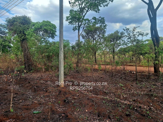 Well-treed Lake Chivero Stand (taking mortgage). . . (Sole Mandate)