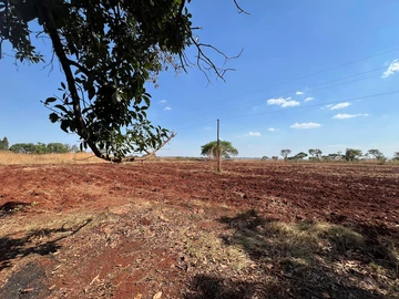 Farm & Agricultural Land