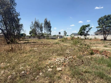 Stands & Residential Land