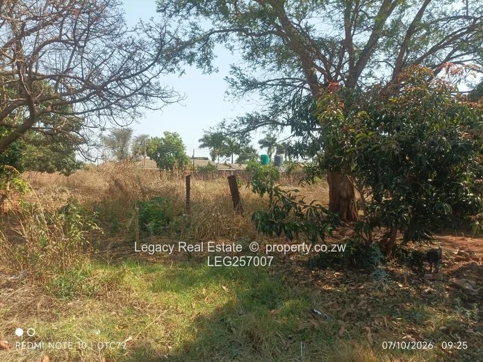 1139m² Vacant Stand in Westgate – Mature Trees, Services