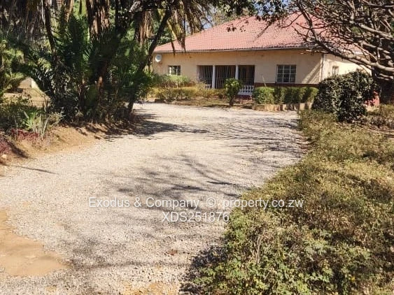 Commercial land for sale