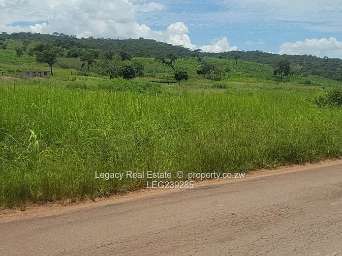 Prime 2,000sqm Stands for Sale Near Concession–Glendale Road, Concession