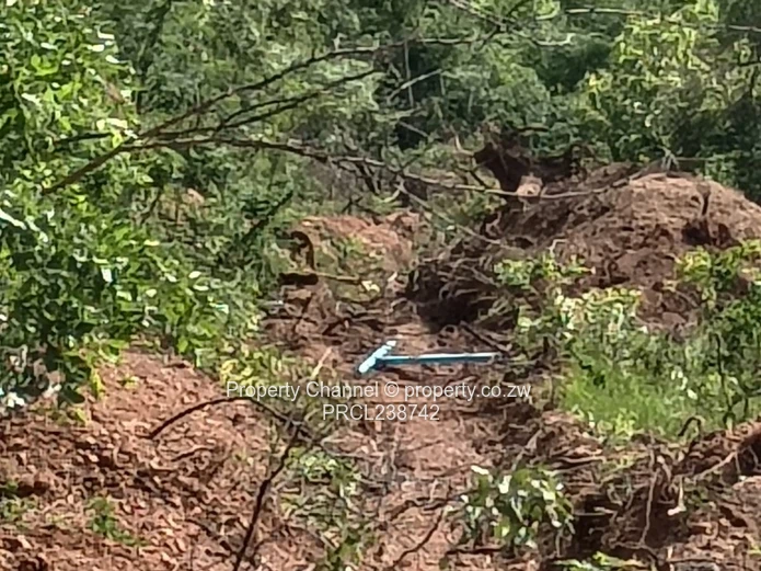 1172m² Serviced Stand in Kadoma – Road & Drainage Ready