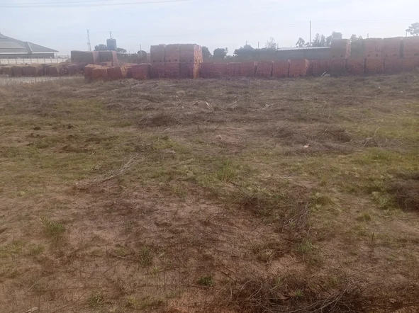 Stands & Residential Land
