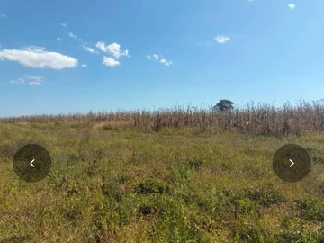 Farm & Agricultural Land