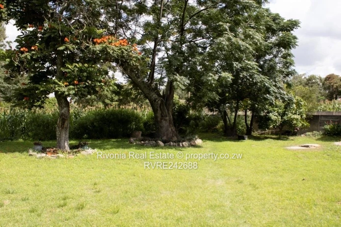 Developer's delight cluster 