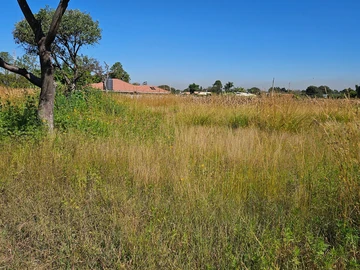 Stands & Residential Land