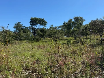 Farm & Agricultural Land