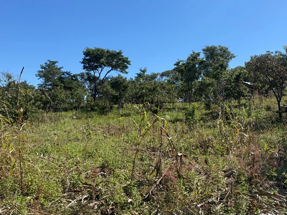 Farm & Agricultural Land