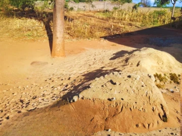 Stands & Residential Land