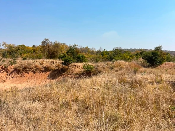 Farm & Agricultural Land