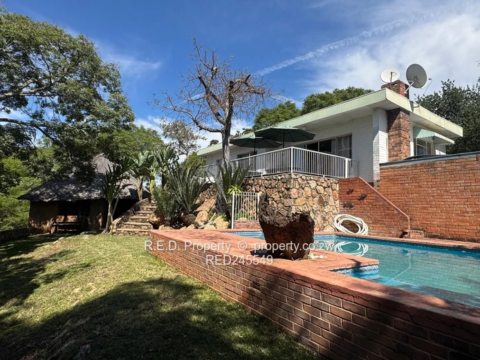 Business and Executive