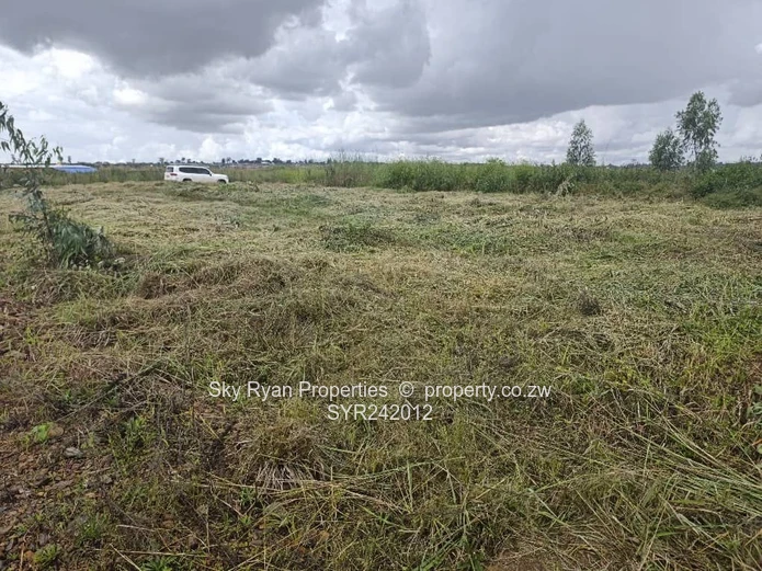 Pomona City Corner Stand For Sale