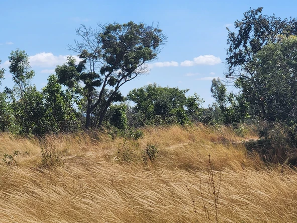 Farm & Agricultural Land