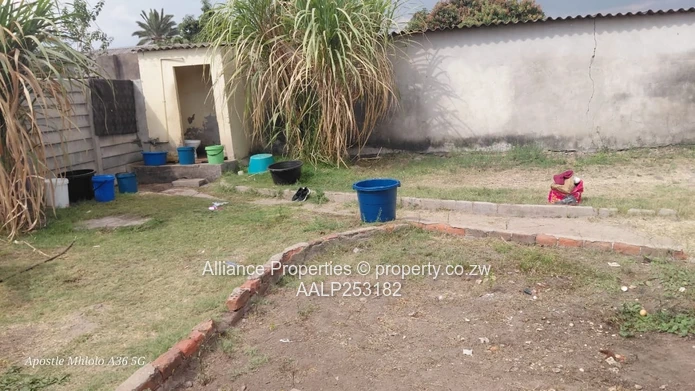 4-Bed Walled Highfield Home - Yard, Municipal Water