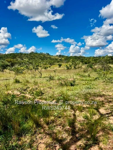 Gutu farm for sale 