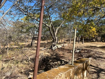 Farm & Agricultural Land