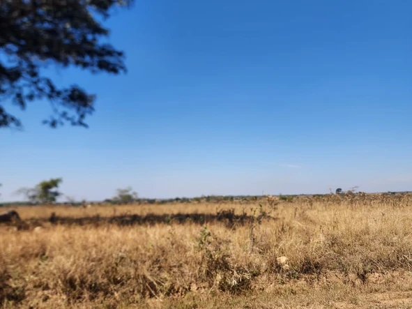Farm & Agricultural Land