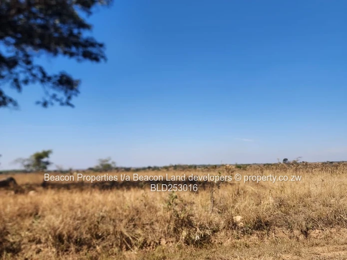 Prime Hurngwe Plots For Sale 