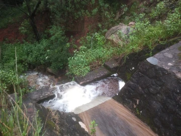 Farm & Agricultural Land