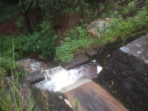 Farm & Agricultural Land