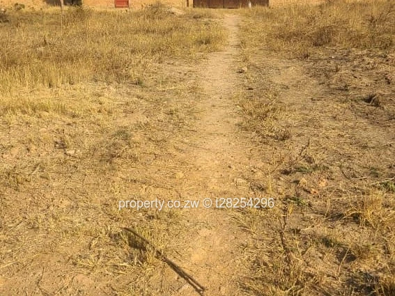 Manyame Park (Sole Mandate)