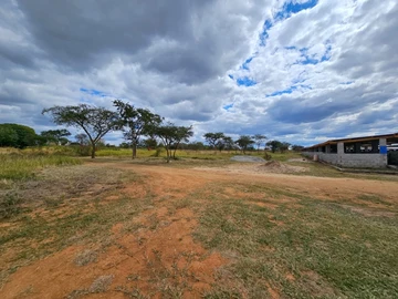 Farm & Agricultural Land
