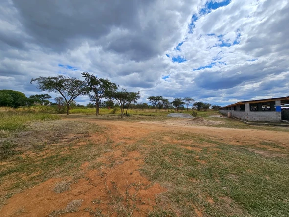 Farm & Agricultural Land