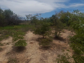 Farm & Agricultural Land