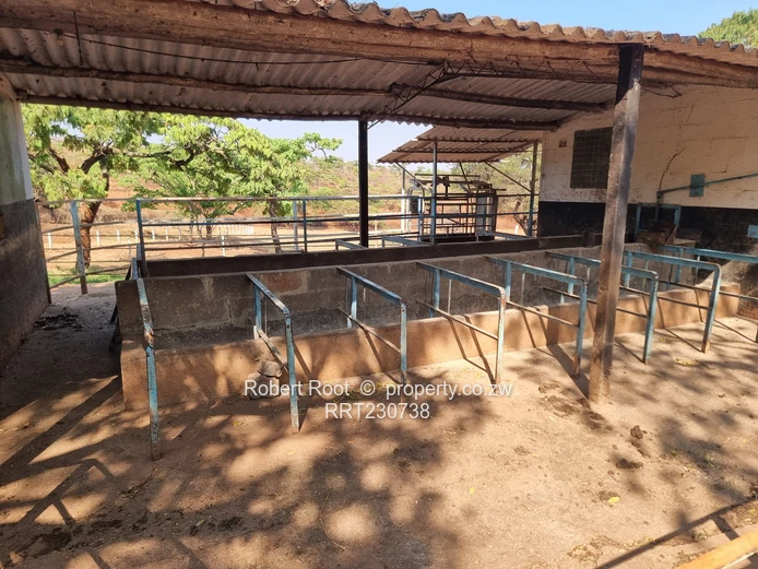 Glenforest Lifestyle Plots For Sale