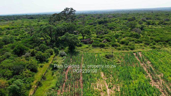 Nyamandlovu 1026 farm for sale