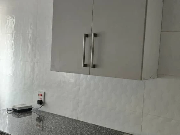 Flat & Apartment