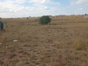 Land