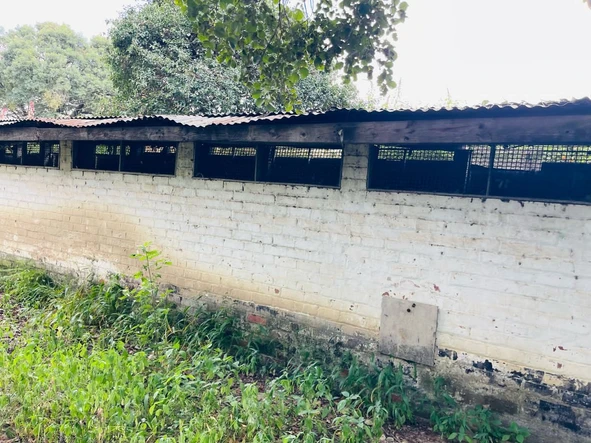 Commercial & Industrial Land