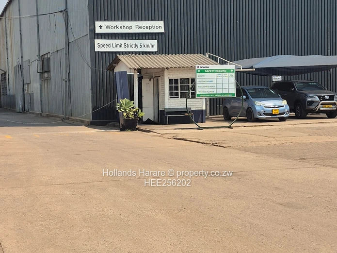 Massive Property In Willowvale