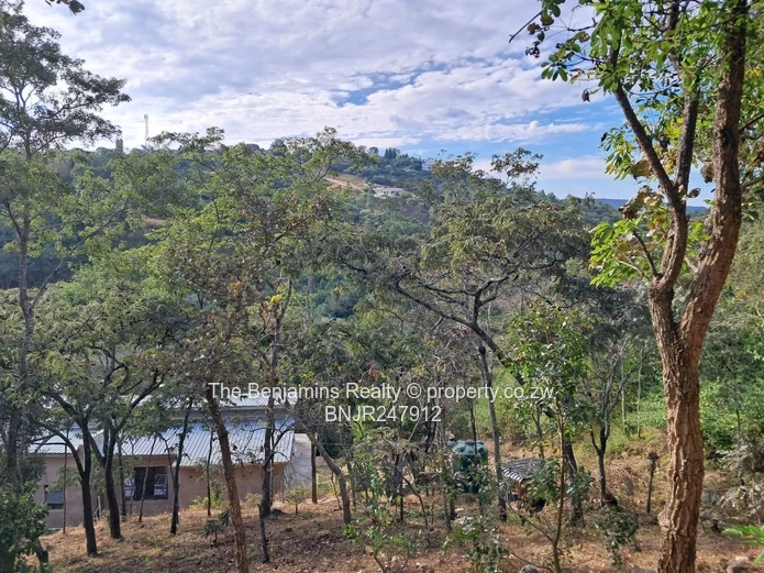 Scenic views in Glen Lorne