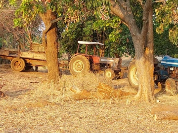 Farm & Agricultural Land