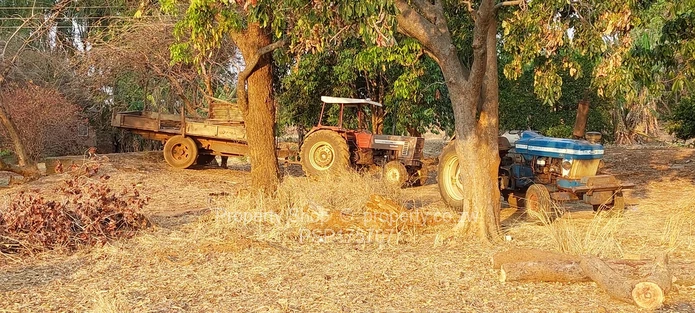 Excellent Farming Opportunity