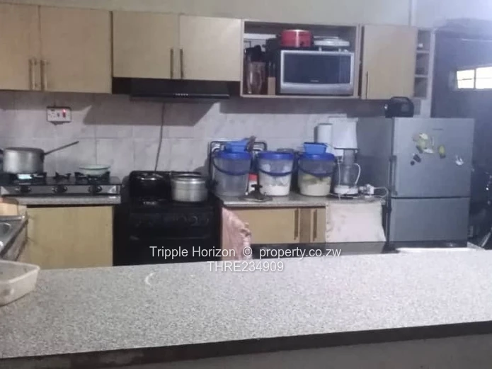 Bloomingdale house for sale