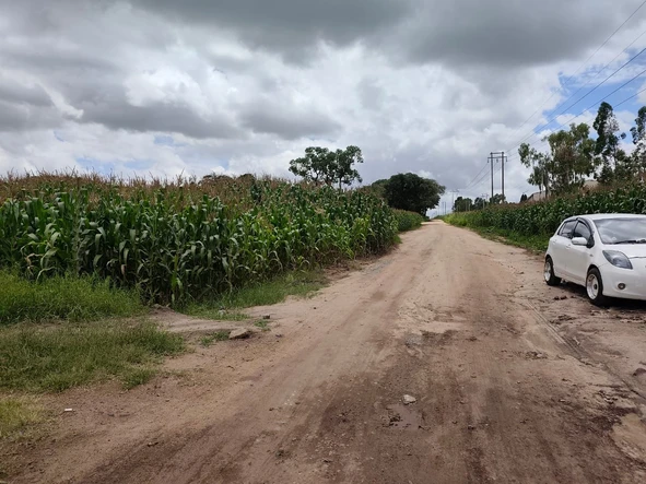 Commercial & Industrial Land