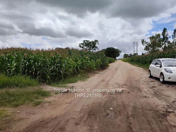 Msasa industrial stand