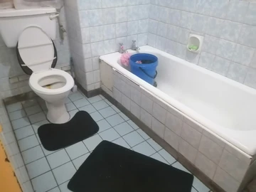Flat & Apartment