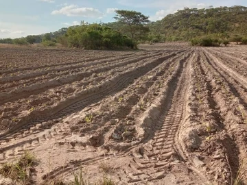 Farm & Agricultural Land