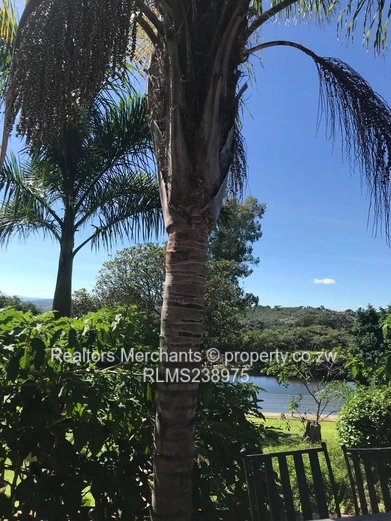 Ruwa Agri-Residential Plot For Sale