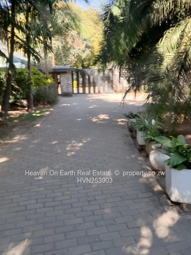 Neat offices to let  (Sole Mandate)