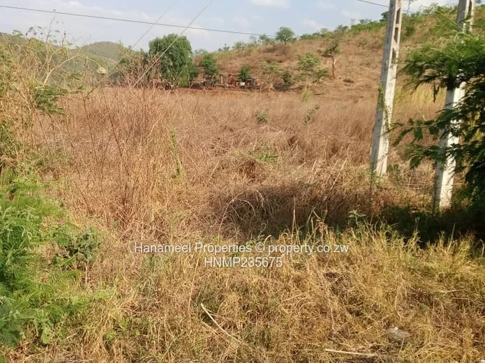 Glen lorne  (Sole Mandate)