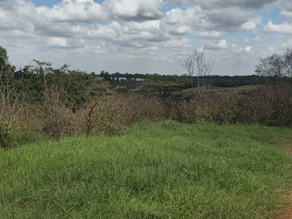 Farm & Agricultural Land