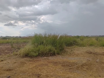 Commercial & Industrial Land