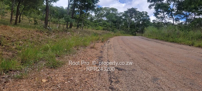 Borrowdale Carrick Creagh Stands For Sale